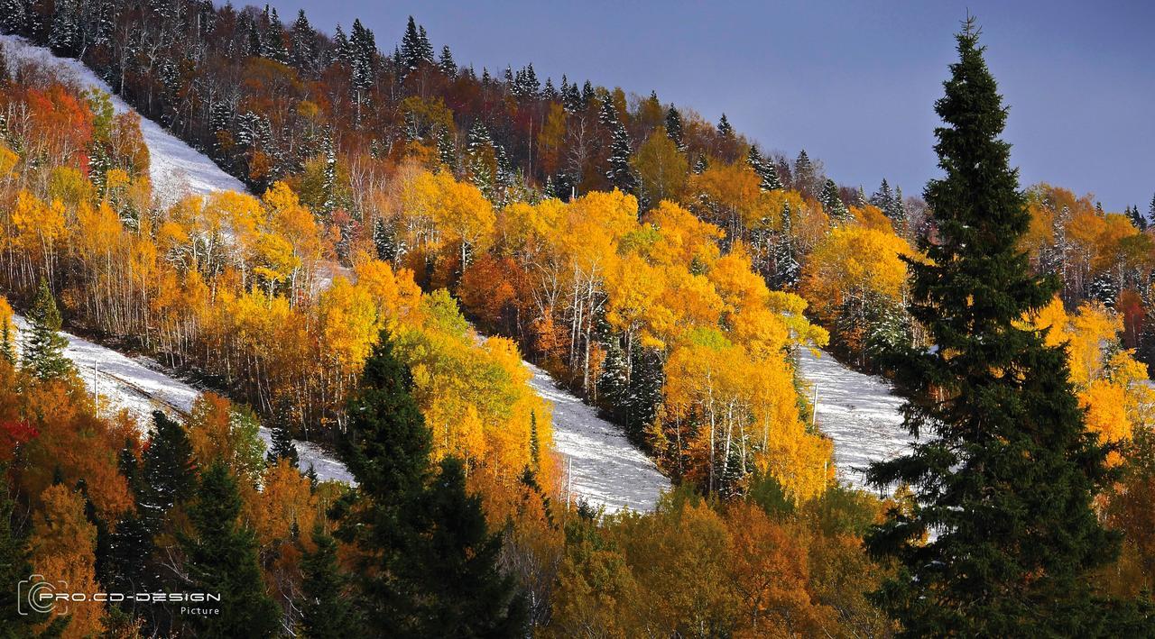 Le Vanilee - Les Chalets Spa Canada La Malbaie Εξωτερικό φωτογραφία