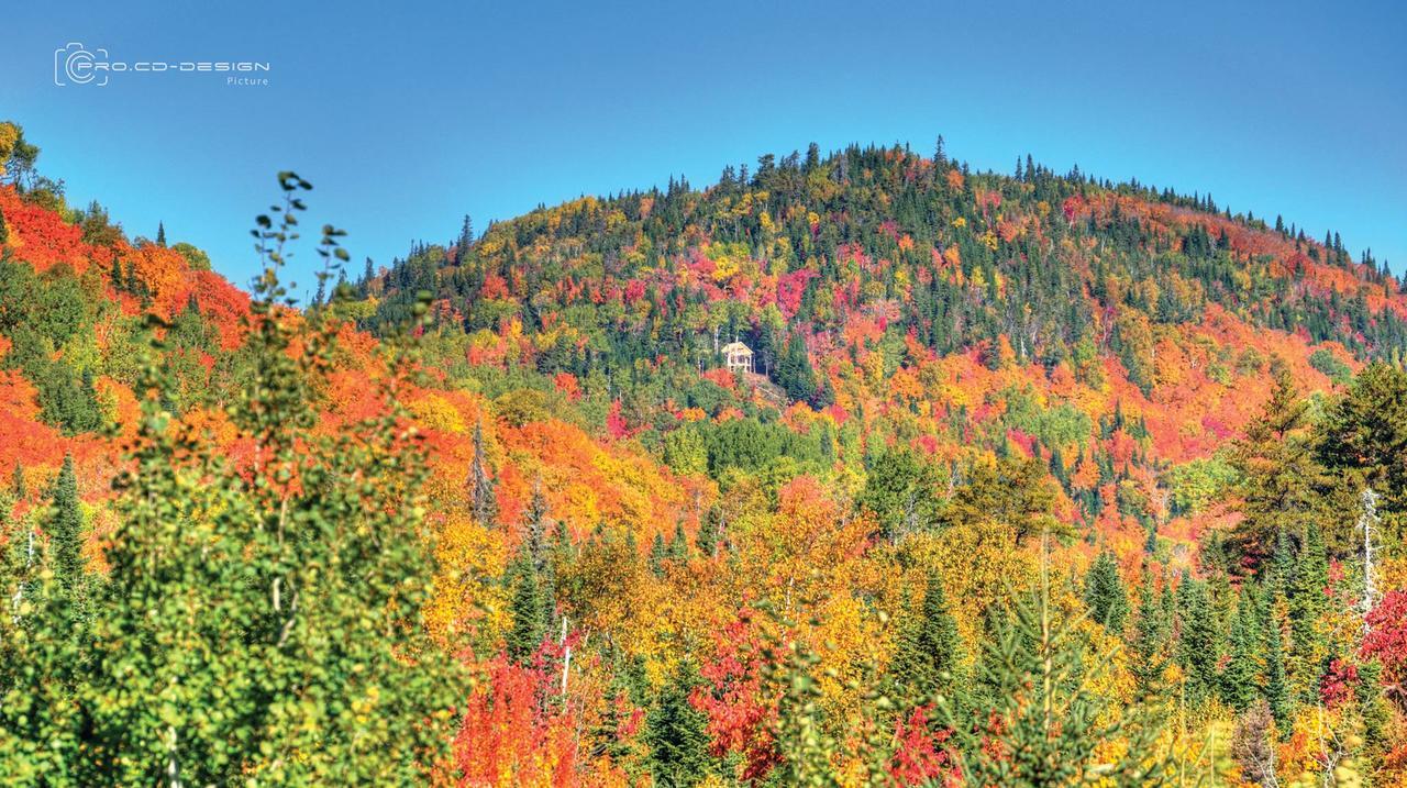 Le Vanilee - Les Chalets Spa Canada La Malbaie Εξωτερικό φωτογραφία